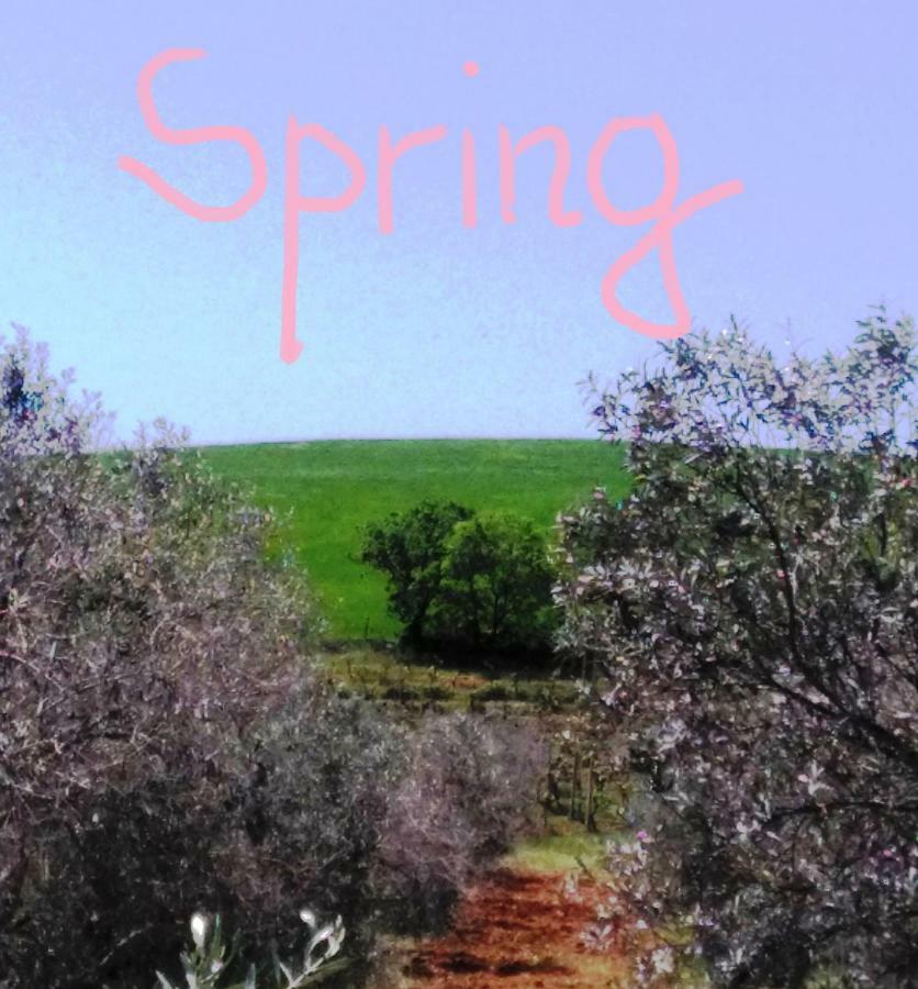 Agriturismo Il Cantiniere Grosseto Exteriér fotografie