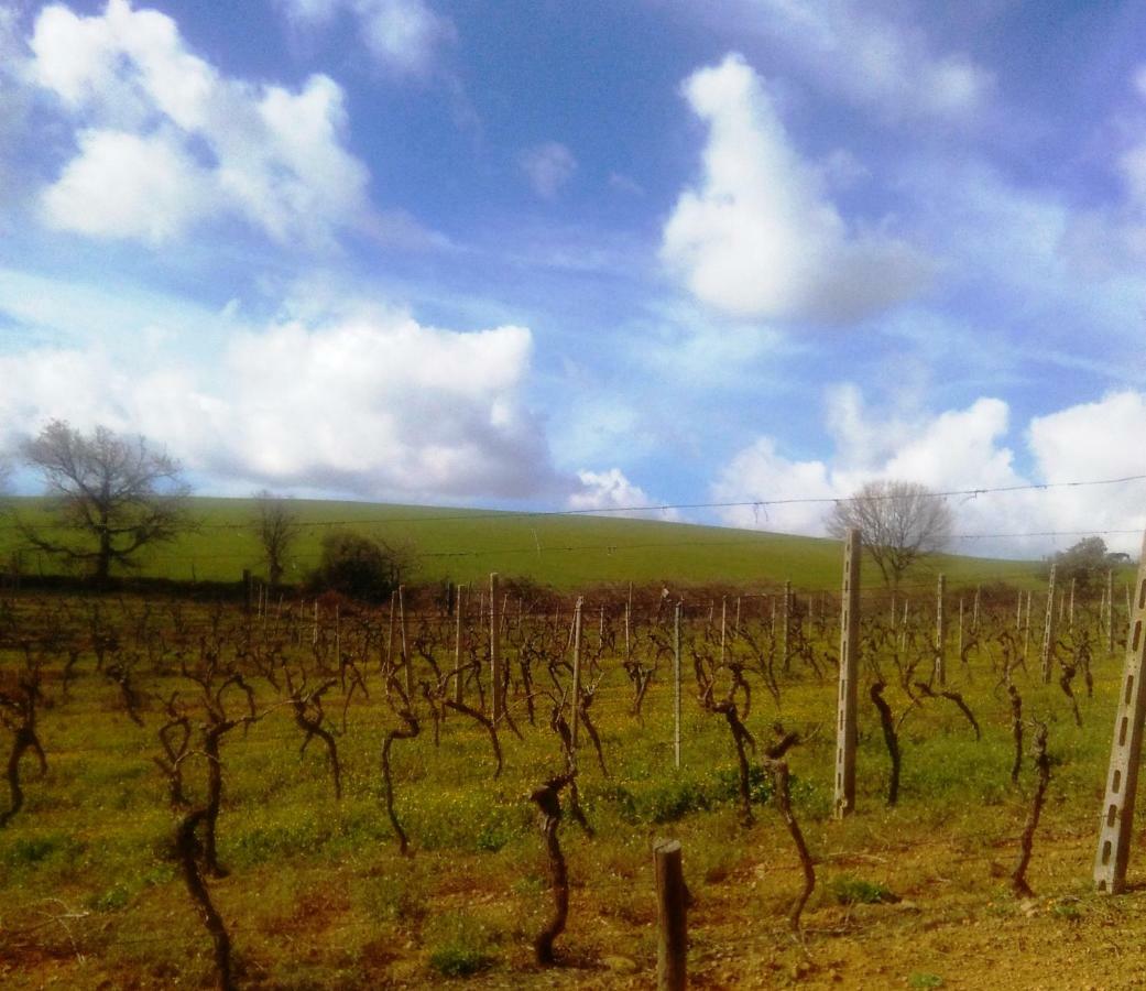 Agriturismo Il Cantiniere Grosseto Exteriér fotografie