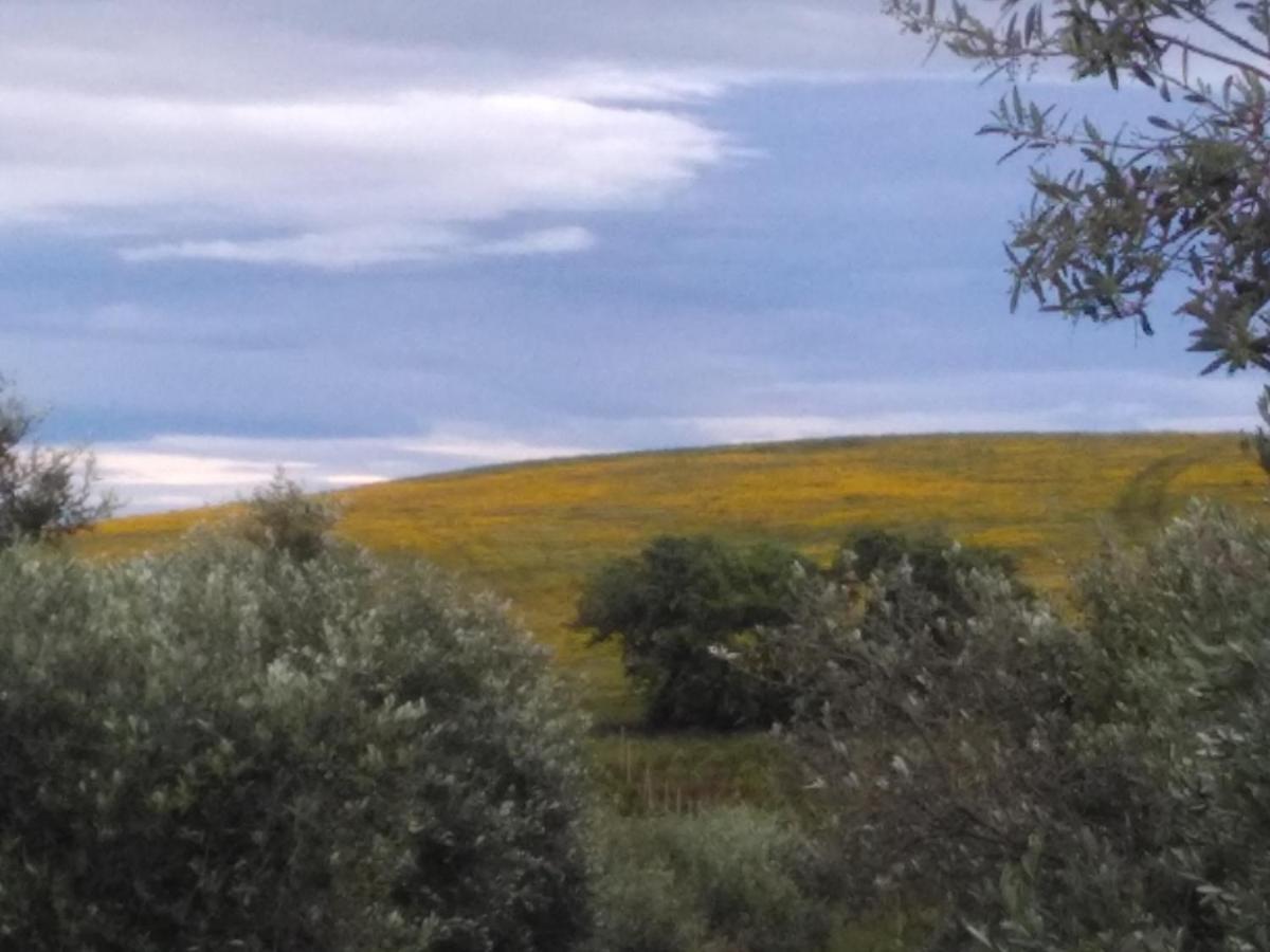 Agriturismo Il Cantiniere Grosseto Exteriér fotografie